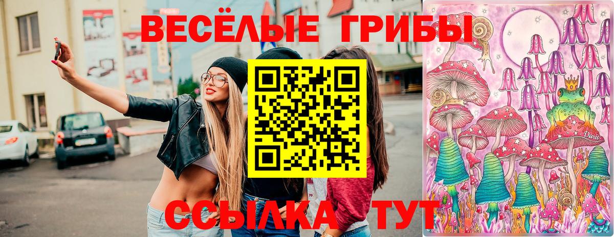 Пенза  Псилоцибиновые грибы GOLDEN TEACHER  Галлюциногенные грибы мухоморы  Вход с VPN 