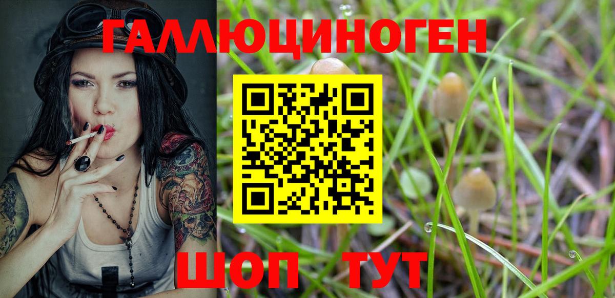 Галлюциногенные грибы Cubensis Пенза