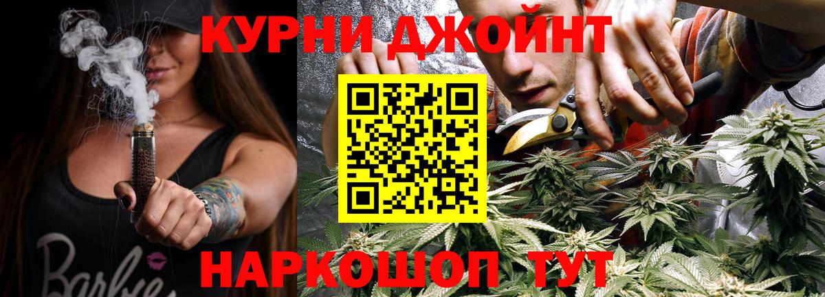 МЕФ Пенза